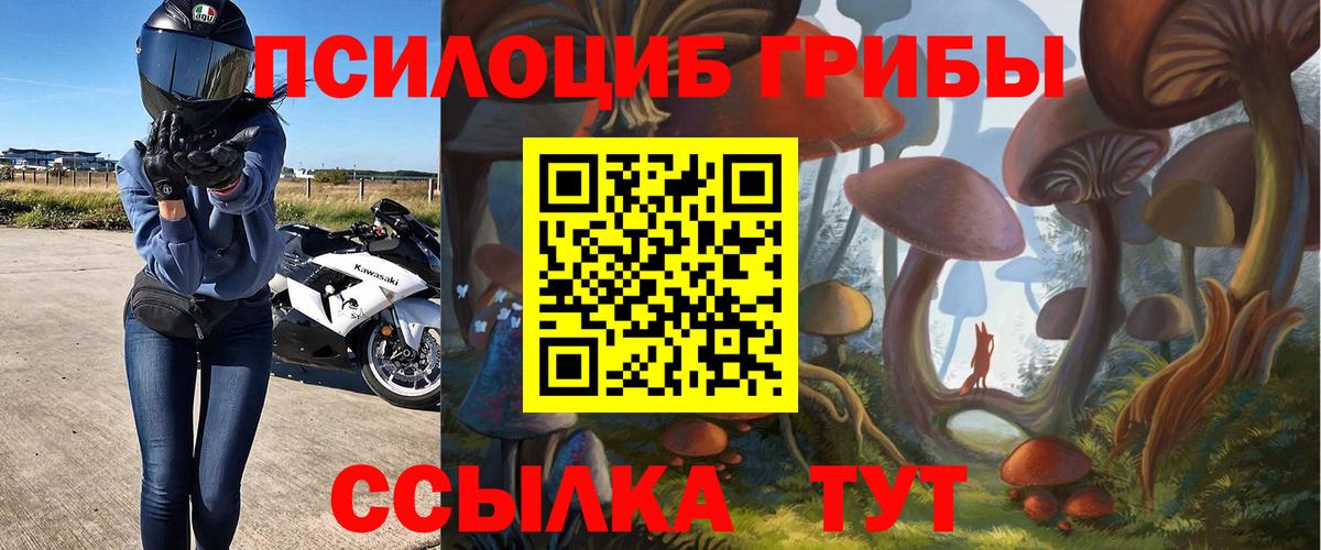 Галлюциногенные грибы мухоморы Серов